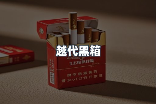 越代黑箱